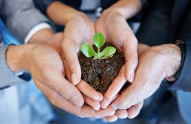 Biz Veda Responsibility