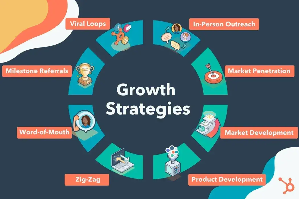 Biz Veda Growth Strategy